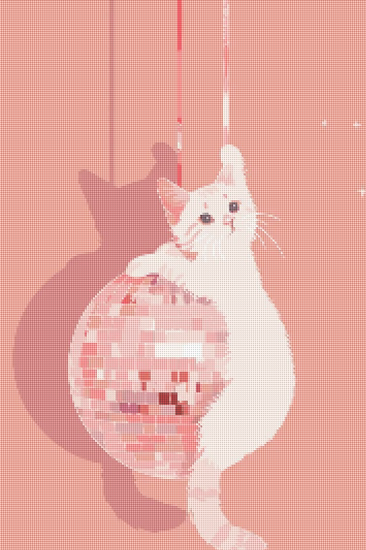 Disco Kitty