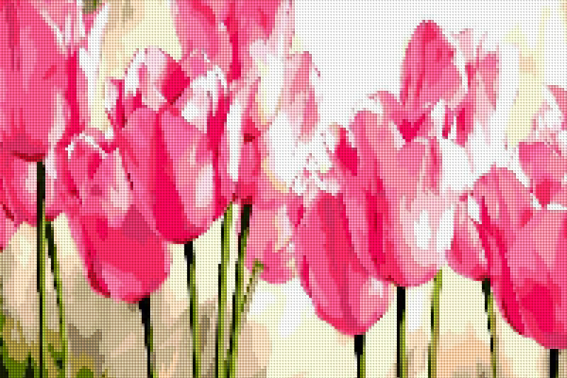 Tulpen